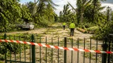 Tours : fermeture préventive des parcs et jardins en raison de vents violents