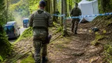 Un corps retrouvé dans la forêt Thoraise : une enseignante portée disparue pourrait être identifiée