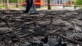 Un feu détruit 2,5 hectares à Neuilly‑sur‑Marne : le maire fustige l'irresponsabilité des parents