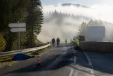 Un lynx écrasé près du col de la Givrine : la disparition relance l'alerte sur les routes jurassiennes
