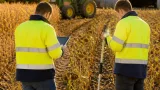 Un référent « sécheresse » nommé en Indre‑et‑Loire pour dresser l’état des pertes agricoles