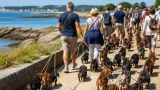 Vannes : plus d'une centaine de participants pour la première marche des teckels
