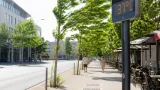Vaulx-en-Velin : canicule et vent attendu·e·s mercredi 19 août
