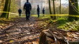 Versailles : dix ans de prison pour l'auteur d'une attaque sauvage en forêt