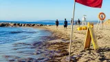 Vigilance sur le littoral : des méduses signalées sur plus de 50 plages, où éviter la baignade