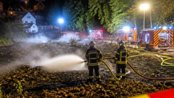 Feu maîtrisé à Meudon : 2 000 m² de forêt partis en fumée, la vigilance reste de mise