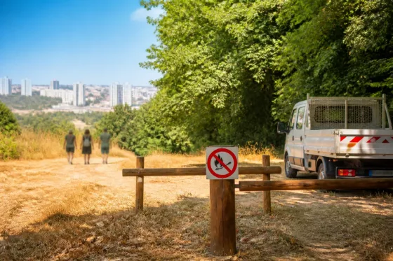 Feux de forêts : l’Essonne placée en vigilance rouge, appel à la prudence