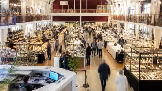 Pessac : la 30e édition du salon Minéraux, Fossiles et Bijoux revient à Bellegrave