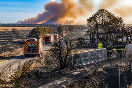 Un feu près de Moulins ravage près de 100 hectares : l'été s'annonce sous haute tension