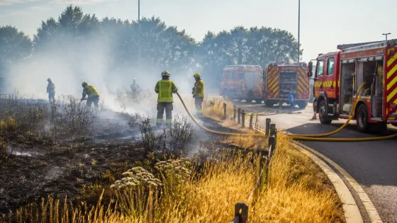 Vannes : feu d'herbe au giratoire de la Lande, un hectare parcouru