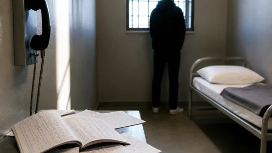 Villefranche-sur-Saône : 781 appels depuis sa cellule, 18 mois de prison pour un trentenaire