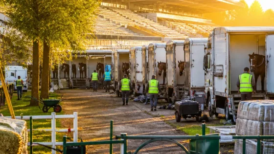 Vincennes : Enghien remplace provisoirement l'hippodrome pour les qualifications