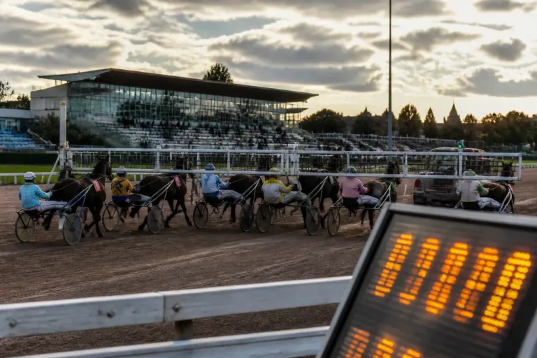 Prix de Bessay-sur-Allier à Vichy : un plateau fourni pour 2.800 m au trot attelé