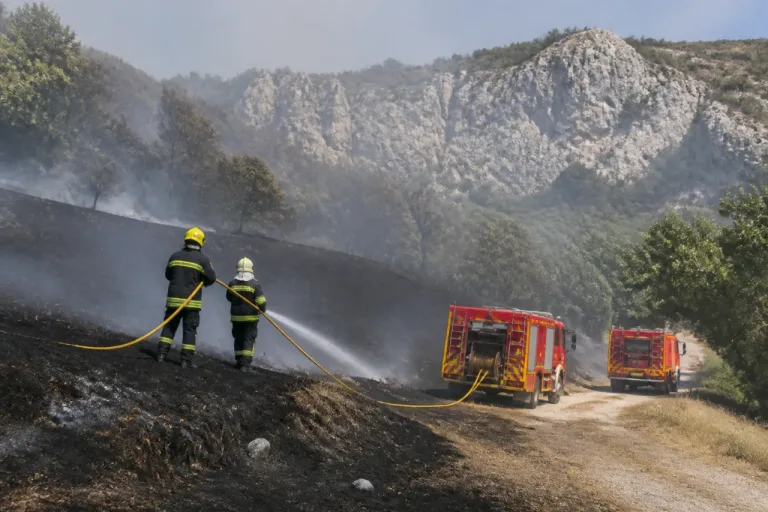 Vallon-Pont-d’Arc : feu de chaume maîtrisé, 1,5 hectare touché, 22 pompiers mobilisés