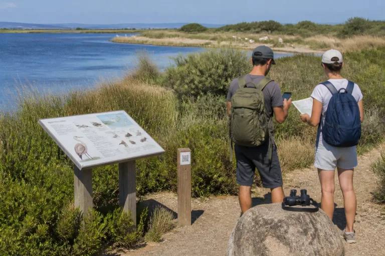 Étang de Berre : une chasse au trésor gratuite pour explorer la biodiversité tout l’été