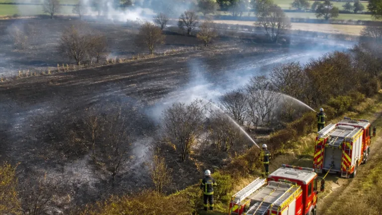 3 000 m² de haies et herbes détruits par un feu près de Flers, douze pompiers mobilisés