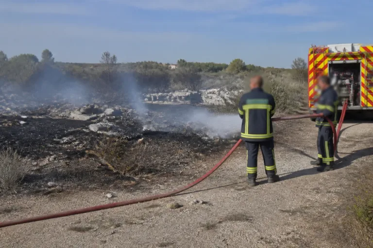 Lattes: un feu de végétation parti d’un dépôt sauvage maîtrisé près du Mas de Saporta