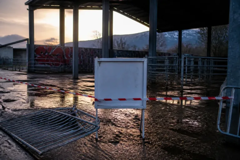 Vandalisme au Parc du Val d’Adour : le marché aux bestiaux annulé à Rabastens