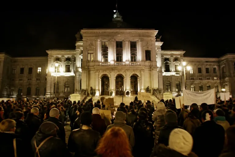 À Annecy, près de 200 personnes manifestent pour l'adoption de la « loi intégrale »
