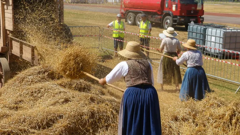 À Châtillon-sur-Cher, la Fête de la moisson se réinvente en terrain sécurisé