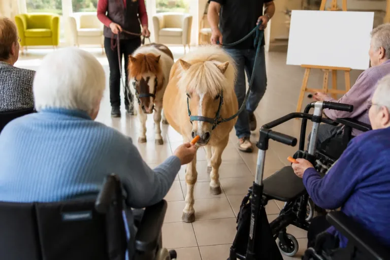 À Coulans-sur-Gée, des poneys pour apaiser le quotidien des aînés grâce à un don