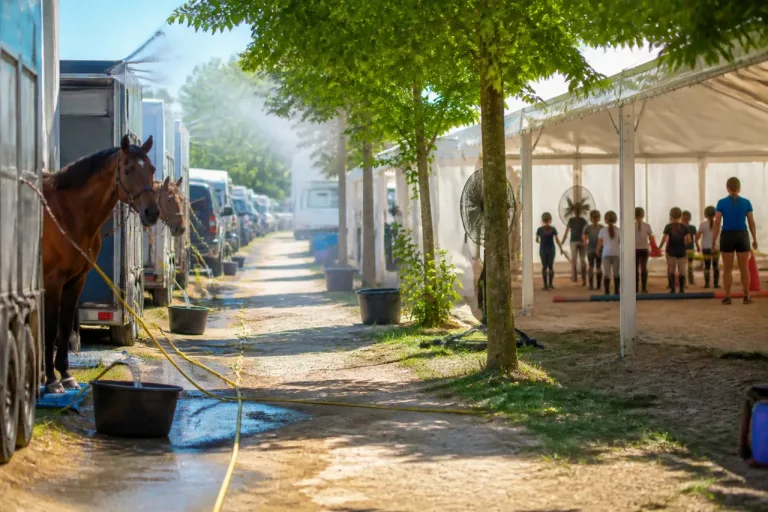 À Lamotte-Beuvron, le bien‑être des chevaux au cœur du Generali Open de France