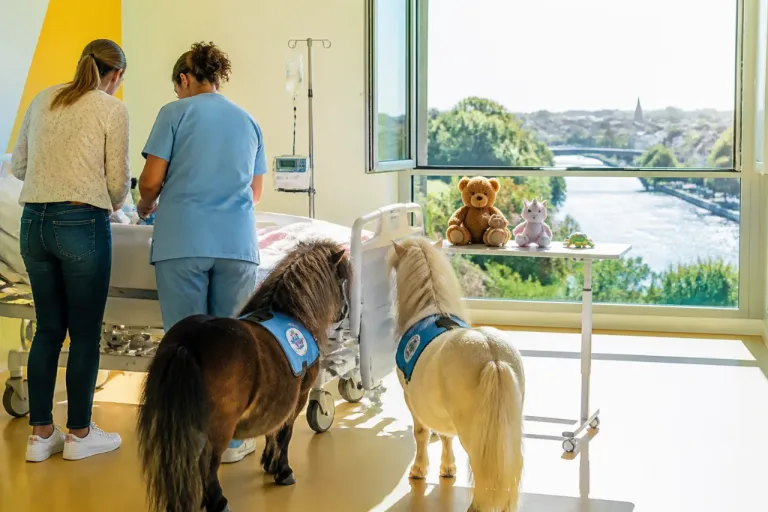 À Quimper, des chiens apaisent les enfants hospitalisés au CH de Cornouaille