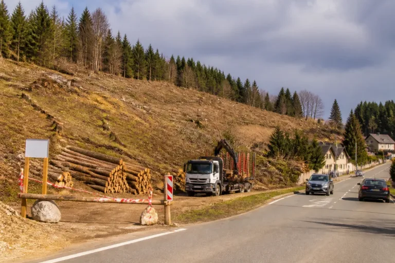 À Septmoncel, la coupe rase d’une forêt soulève colère et questions sur la gestion privée