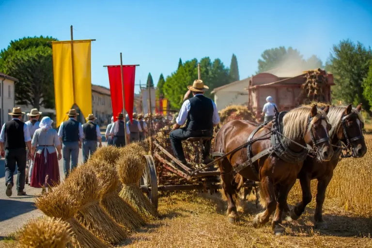 À Valensole, la Moisson d’antan remet les gestes agricoles au cœur du village