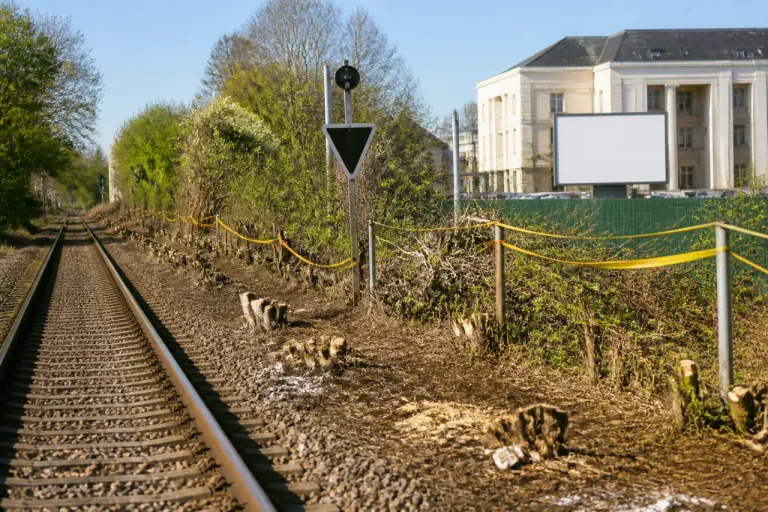 Angers : la cour d'appel confirme la culpabilité de SNCF Réseau pour des élagages en période de nidification