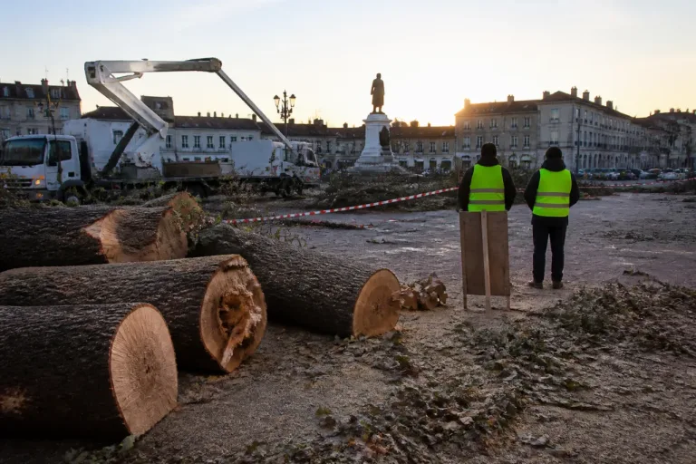 Angoulême : les 22 arbres de la place New York abattus, appel à rassemblement ce soir