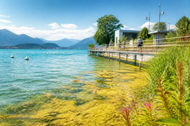 Annecy face au réchauffement : le lac, atout économique et patrimoine menacé