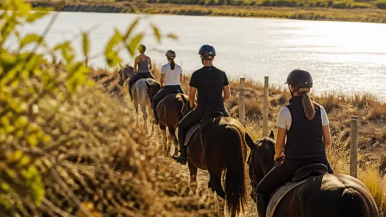 Balade à cheval à Marignane : l’écurie du Pandore invite à la nature au bord du Jaï