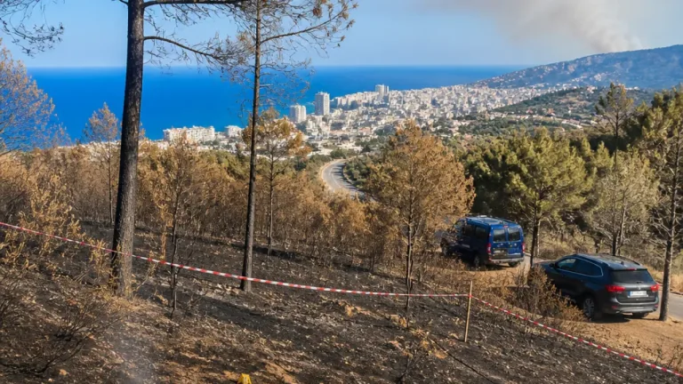 Bastia : le parquet ouvre des enquêtes après les récents incendies en Haute-Corse