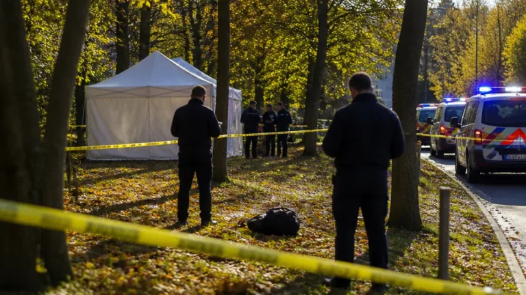 Beauvais : un homme retrouvé sans vie dans un bois près de la zone commerciale d'Allonne