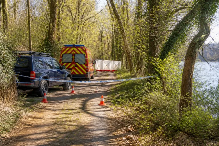 Briord : un quadragénaire retrouvé mort par balle dans un bois privé