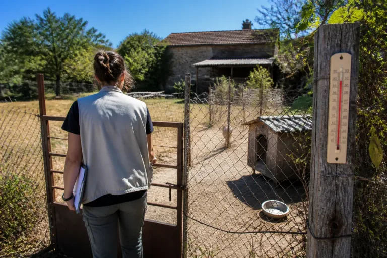 Canicule dans la Nièvre : la SPA lance un appel pour recruter des enquêteurs bénévoles