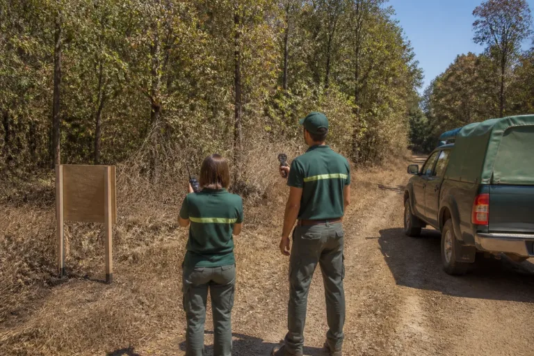 Canicule et bois secs : en Haute-Saône, l’ONF renforce sa veille face au risque d’incendie
