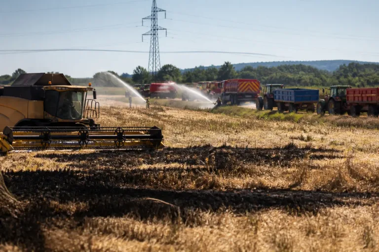 Canicule et moisson : pourquoi les feux de récolte se multiplient dans l’Ain