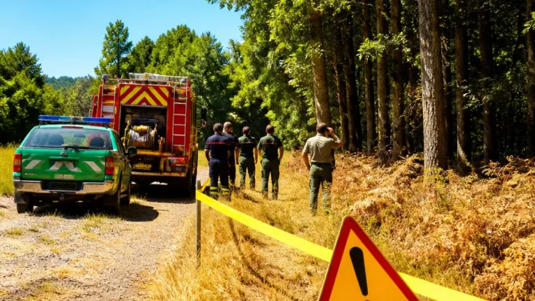 Canicule et sécheresse : l’ONF place les forêts d’Ille‑et‑Vilaine sous forte vigilance