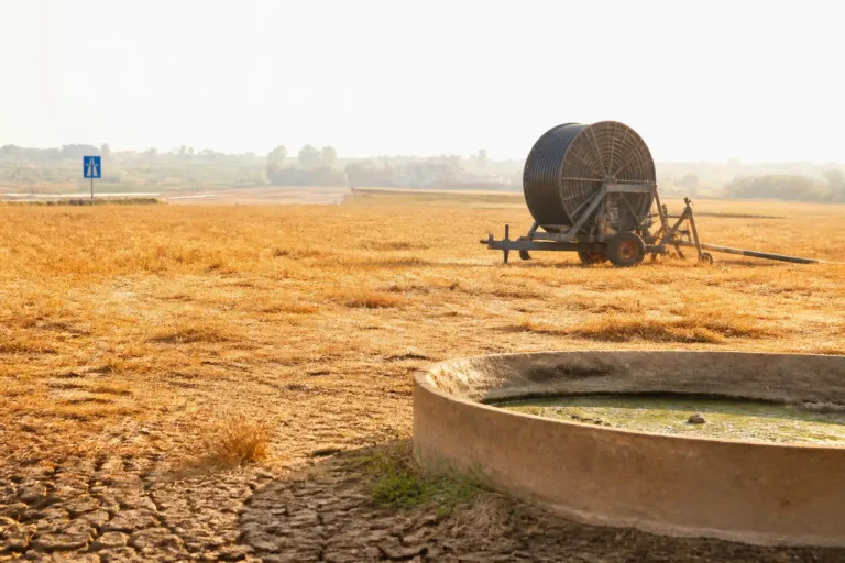 Canicule et sécheresse : la Confédération paysanne réclame l’état de catastrophe
