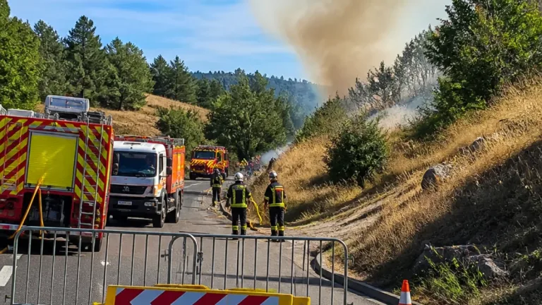 Canicule et sécheresse : plusieurs feux mobilisent les secours, la RD243 fermée à Vagney