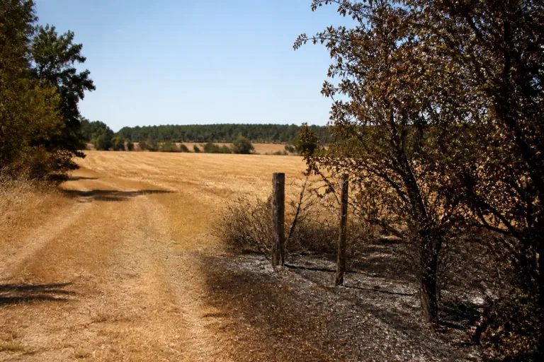 Canicule: l’Eure-et-Loir repasse au jaune, prudence maintenue face au risque d’incendie