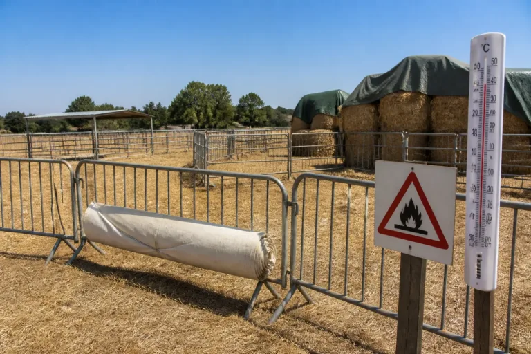 Canicule: le comice du Pays de Tuffé au Luart annulé et reprogrammé en 2027