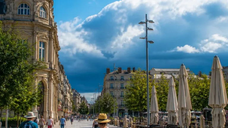 Canicule : le Maine‑et‑Loire placé en vigilance jaune pour la journée du 29 juillet
