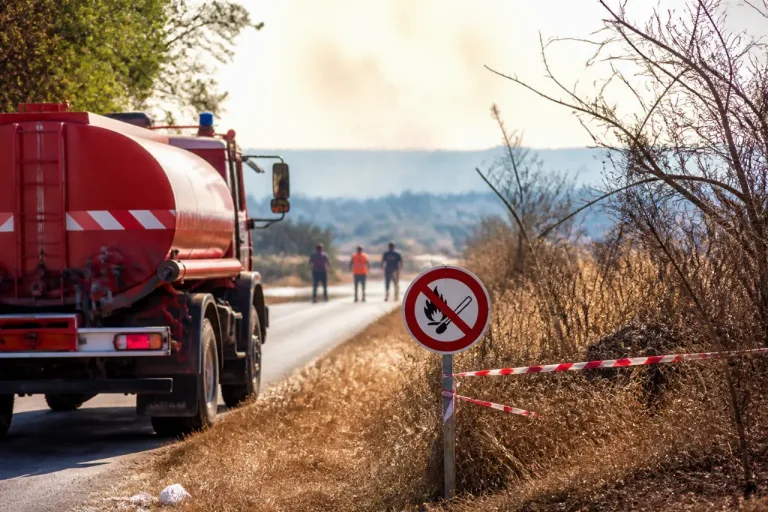Canicule : les Deux‑Sèvres placées en vigilance maximale pour les risques d'incendie