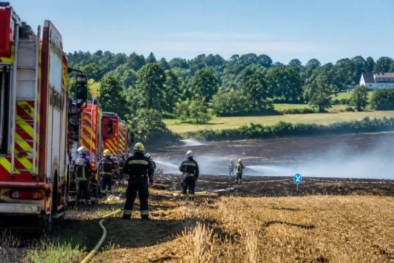 Canicule : les pompiers des Ardennes sous pression pendant une semaine très chargée
