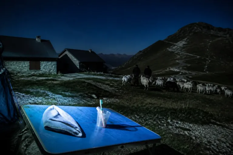 Chartreuse : une nuit avec l’association Ferus, aux côtés des éleveurs face au risque loup
