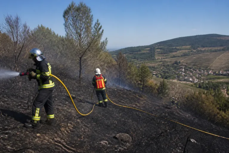 Chiroubles : un feu de végétation détruit près de 3 hectares, rapidement contenu