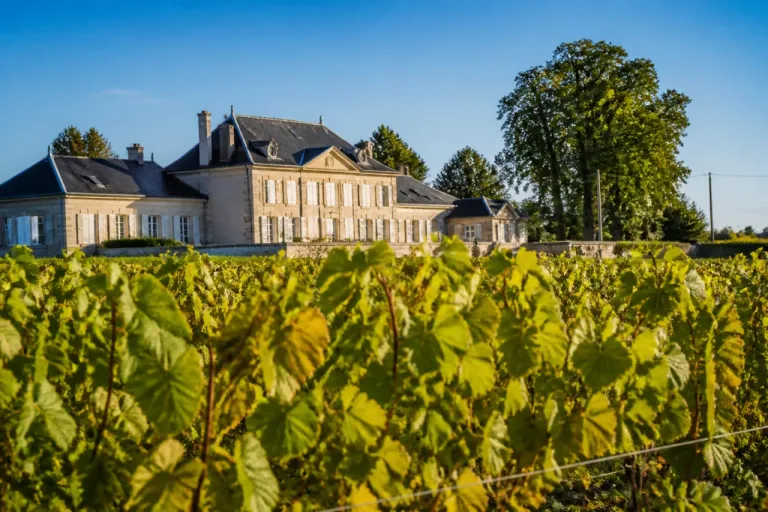 Cognac : vent de renouveau à l’UGVC, la Charente repositionnée avant le prochain mandat du BNIC